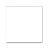 3902M-A00001 03 Blank plate