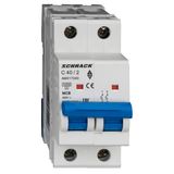 Miniature Circuit Breaker (MCB) AMPARO 10kA, C 40A, 2-pole