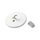 AK20.1 Ceiling rose cover White