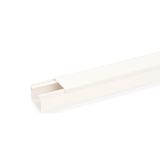 LE 40110 rws  Channel LE, for cable storage, 2000x110x40, pure white Polyvinyl chloride