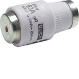 Fuse DIII E33 63A 500V, tripping characteristic Super fast, with indic