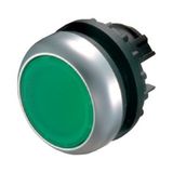 Illuminated pushbutton actuator, RMQ-Titan, Flush, maintained, green, Blank, Bezel: titanium