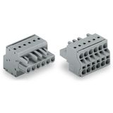 2-conductor female connector Push-in CAGE CLAMP® 2.5 mm² gray
