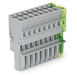 1-conductor female connector CAGE CLAMP® 4 mm² green-yellow/gray