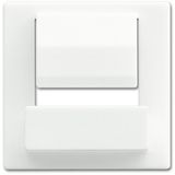6477-884 CoverPlates (partly incl. Insert) USB charging devices White