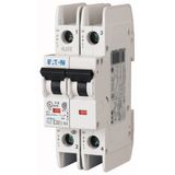 Miniature circuit breaker (MCB), 63 A, 2p, characteristic: C, ring tongue