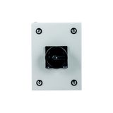 Main switch, P1, 25 A, surface mounting, 3 pole + N, STOP function, With black rotary handle and locking ring, Lockable in the 0 (Off) position, in st