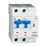 AFDD, series Lisa, C 10 A, 2-pole, 30 mA, type A, 10 kA