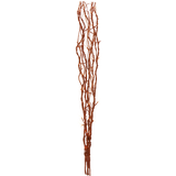 Decorative Twig Willow