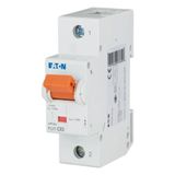 Miniature circuit breaker (MCB), 63A, 1p, C-Char, AC