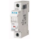 Miniature circuit breaker (MCB), 50 A, 1p, characteristic: C