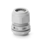 CABLE GLAND IP66 PG 42