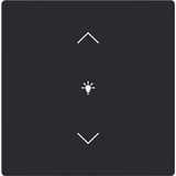 Cover for dimmer icon 1. Rocker keypad 63