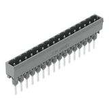 Male connector for rail-mount terminal blocks 1.2 x 1.2 mm pins straig