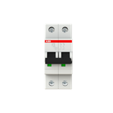 S202-B20 Miniature Circuit Breaker - 2P - B - 20 A