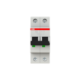 S202-B50 Miniature Circuit Breaker - 2P - B - 50 A