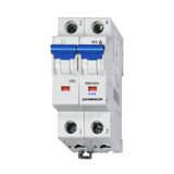 Miniature Circuit Breaker (MCB) D, 4A, 2-pole, 10kA