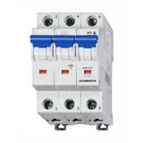 Miniature Circuit Breaker (MCB) C, 25A, 3-pole, 10kA