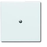 2138-34 CoverPlates (partly incl. Insert) Flush-mounted, water-protected, special connecting devices Alpine white