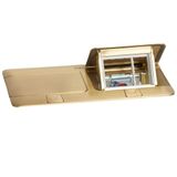Pop-up box to be equipped - 2 x 3 modules - brushed brass