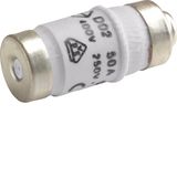 Fuse D02 E18 50A 400V gG with indicator