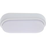 Outdoor Light with Light Source - wall light 10W 850lm 4000K IP54  - White