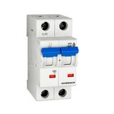 Miniature Circuit Breaker (MCB) C, 32A, 2-pole, 6kA