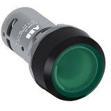 CP2-13G-10 Pushbutton