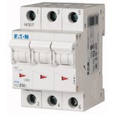 Miniature circuit breaker (MCB), 50 A, 3p+N, characteristic: C