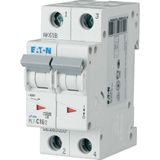 Miniature circuit breaker (MCB), 3 A, 2p, characteristic: C