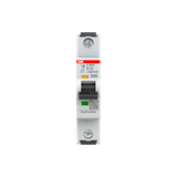 S301P-D13 Miniature Circuit Breaker - 1P - D - 13 A