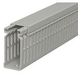 LK4 N 60025 Slotted cable trunking system  60x25x2000