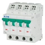 Miniature circuit breaker (MCB) with plug-in terminal, 6 A, 4p, characteristic: D