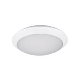 START SURFACE IP66 1450LM 830 IK10 WHT