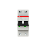 S202-C13 Miniature Circuit Breaker - 2P - C - 13 A