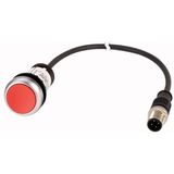 Pushbutton, Flat, momentary, 1 NC, Cable (black) with M12A plug, 4 pole, 0.2 m, red, Blank, Bezel: titanium