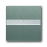 1764 NLI-803 CoverPlates (partly incl. Insert) Busch-axcent®, solo® grey metallic