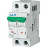 Miniature circuit breaker (MCB), 6 A, 2p, characteristic: C