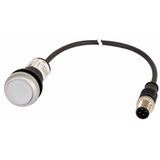 Illuminated pushbutton actuator, Flat, momentary, 1 N/O, Cable (black) with M12A plug, 4 pole, 0.5 m, LED white, White, Blank, 24 V AC/DC, Bezel: tita