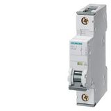 Miniature circuit breaker 230/400 V 10kA,  5SY4120-6KK11