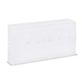 Emergency luminaire URA ONE - std Maintained/Non maintained - 1h - 200 lm - LED