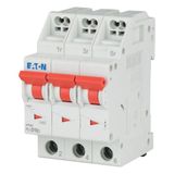 Miniature circuit breaker (MCB) with plug-in terminal, 10 A, 3p, characteristic: D