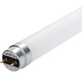 LED TL Tube - T8 120cm G13 14W 2100lm 6500K Frosted 190° 