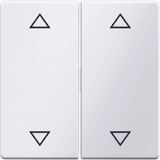 Rocker 2gang imprinted arrows symbol, Q.1/Q.3, p. white velvety