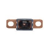 Fuse-link, Overcurrent NON SMD, 100 A