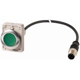 Illuminated pushbutton actuator, Flat, maintained, 1 N/O, Cable (black) with M12A plug, 4 pole, 1 m, LED green, green, Blank, 24 V AC/DC, Metal bezel