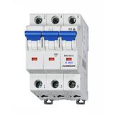 Miniature Circuit Breaker (MCB) B, 10A, 3-pole, 10kA