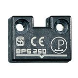 BPS 250