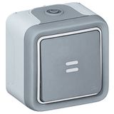 Switch Plexo IP 55 - illuminated 2-way - 10 AX - 250 V~ - surface mounting -grey