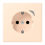 JUNG HOME SCHUKO socket Energy BTLC1521SE238